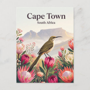 Cape Sugarbird, Cape Town South Africa Postcard