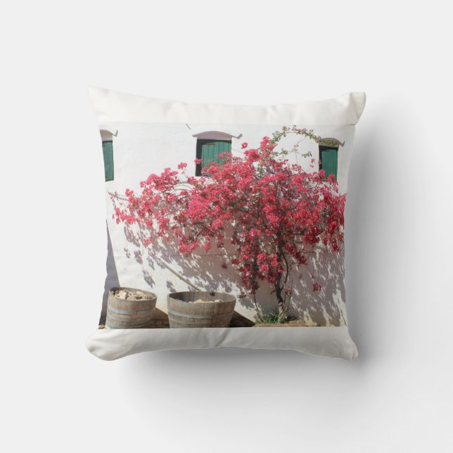 Cape Tow Countryside Scenery Pillow (Front)