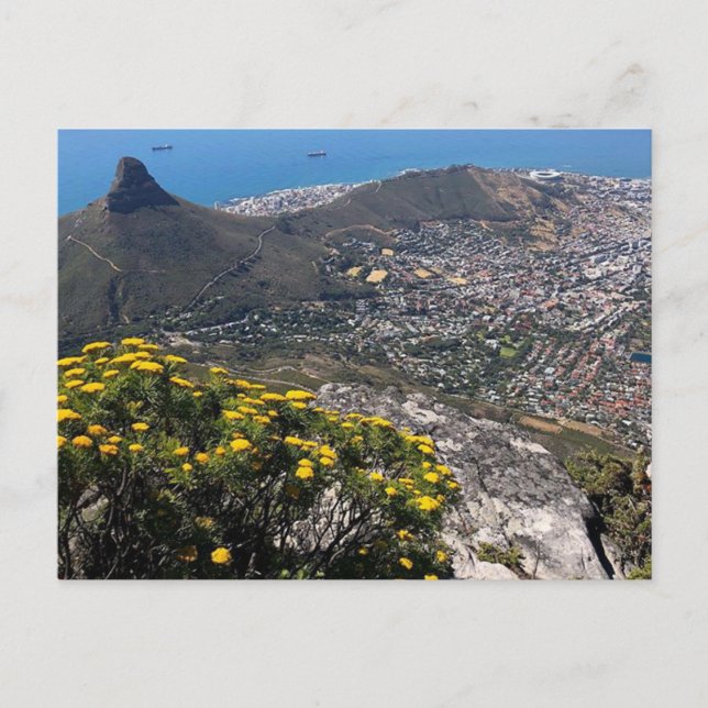 cape town city postcard (Front)