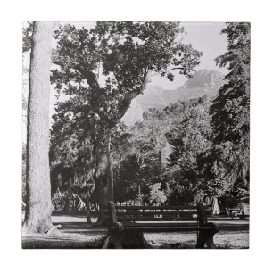 Cape Town De Waal Park Mountain South Africa ZA Ceramic Tile