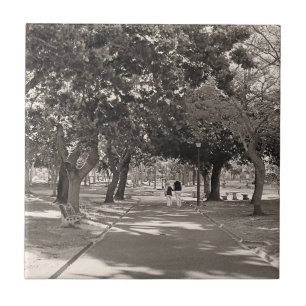 Cape Town De Waal Park South Africa ZA Ceramic Tile