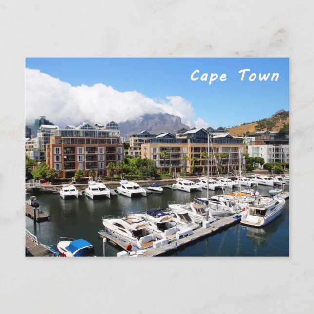 Cape Town Harbour and Table Mountain Postcard (Front)
