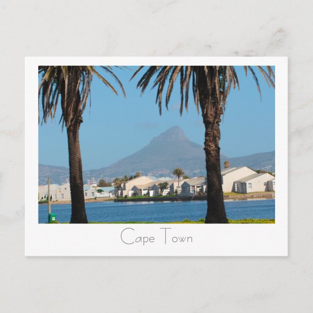 Cape Town South Africa Lion's Head Palm Trees Postcard (Front)