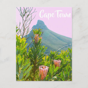Cape Town South Africa Protea Lion's Head Postcard