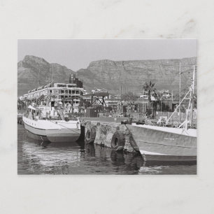 Cape Town South Africa Table Mountain Harbour Postcard