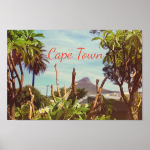 Cape Town Table Mountain Lion's Head Poster