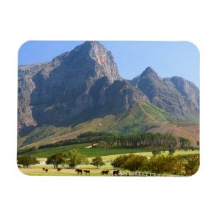 Cape Town, Western Cape, South Africa Magnet