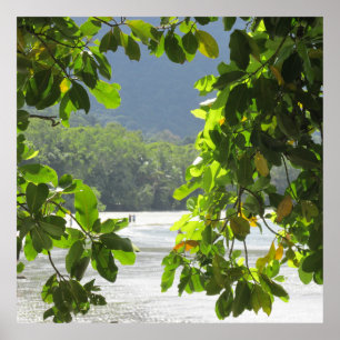 Cape Tribulation - Australia Poster