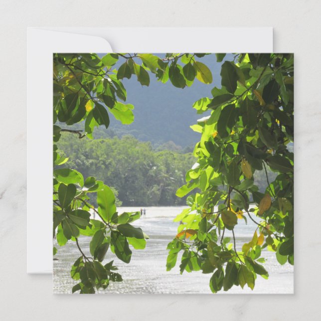 Cape Tribulation Flat Card (Front)