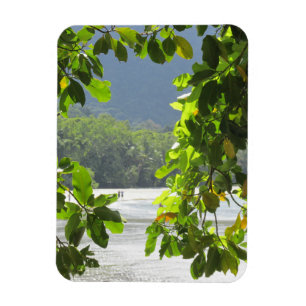 Cape Tribulation Flexible Photo Magnet