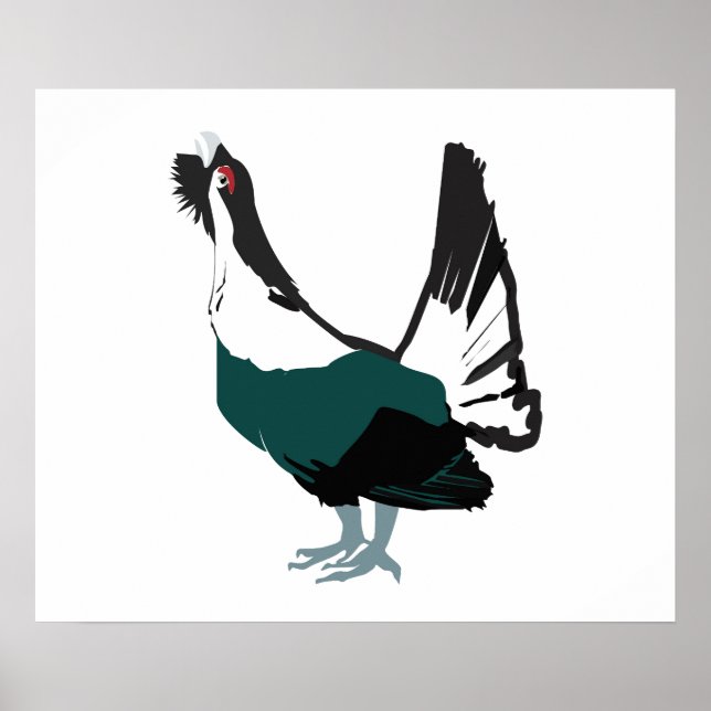 Capercaillie bird  Art  Value Poster Paper (Matte) (Front)
