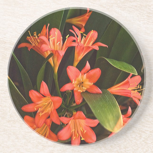 Capetown Flowers Coaster (Front)