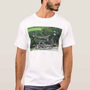 Capilano Canyon Indian Wishing Well View T-Shirt