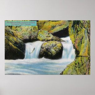 Capilano Canyon View of Salmon Leaping Upstream Poster