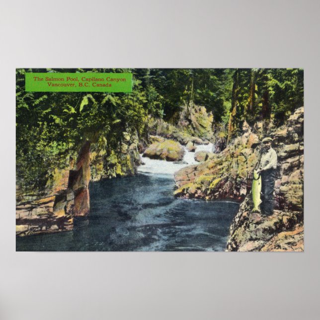 Capilano Canyon View of the Salmon Pool Poster (Front)