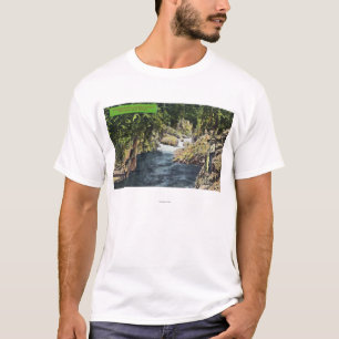 Capilano Canyon View of the Salmon Pool T-Shirt