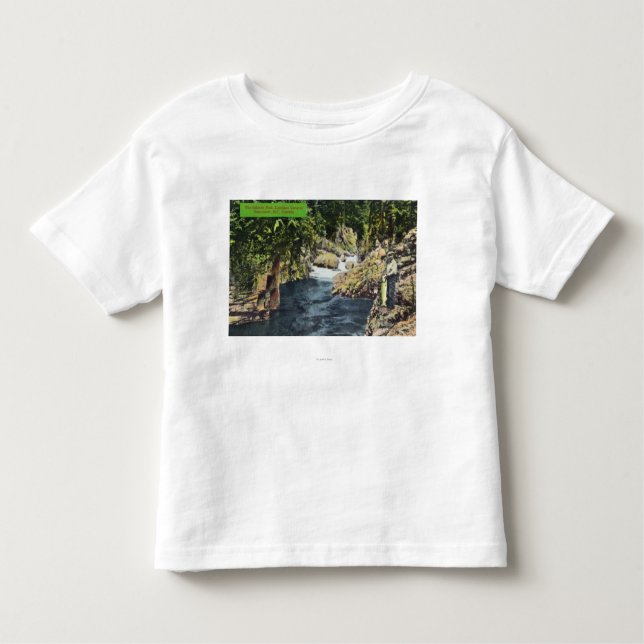 Capilano Canyon View of the Salmon Pool Toddler T-Shirt (Front)