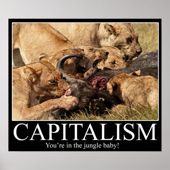 Capitalism Demotivational Poster (Front)