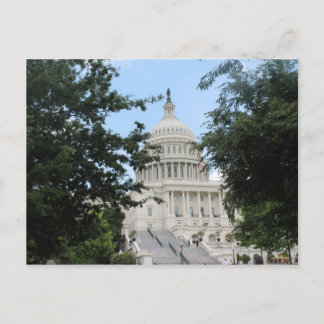 Capitol Building Framed Trees Postcard