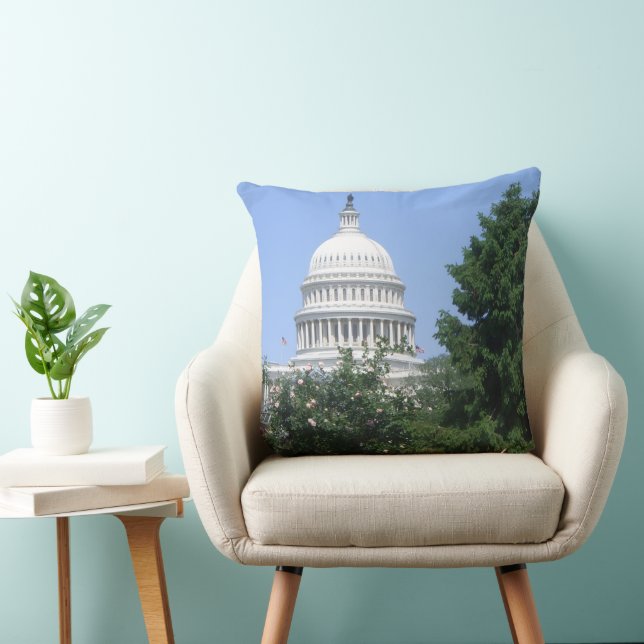 Capitol Building from Bartholdi Park Cushion (Chair)