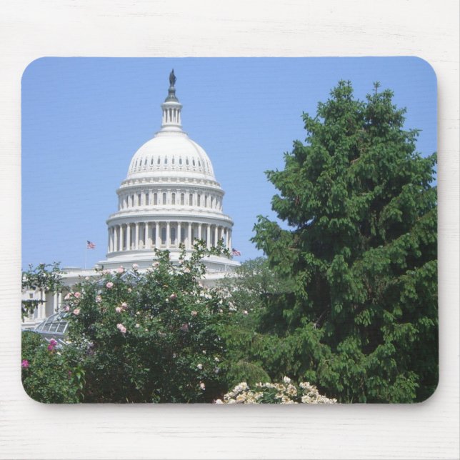 Capitol Building from Bartholdi Park Mouse Pad (Front)