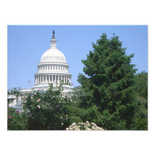 Capitol Building from Bartholdi Park Photo Print