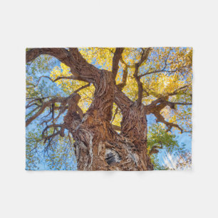 Capitol Reef National Park, Cottonwood Tree Fleece Blanket