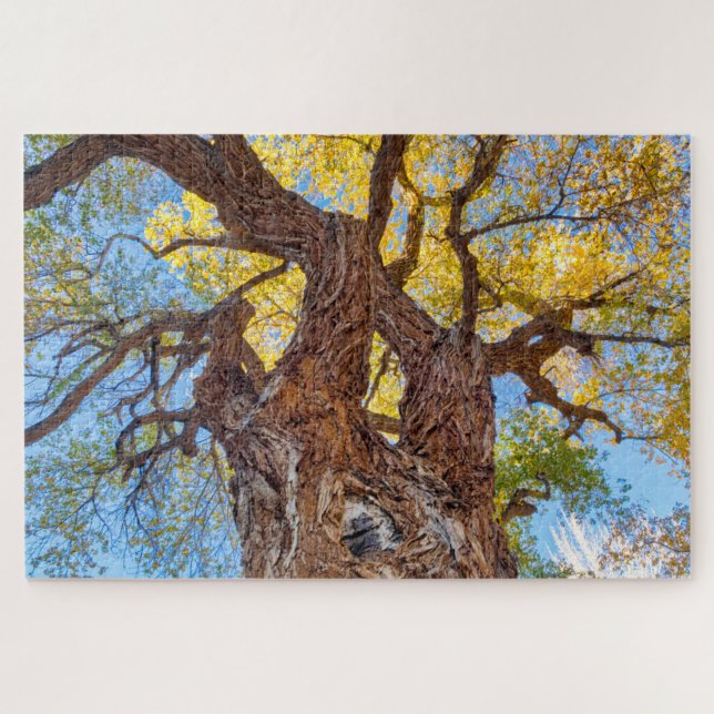 Capitol Reef National Park, Cottonwood Tree Jigsaw Puzzle (Horizontal)