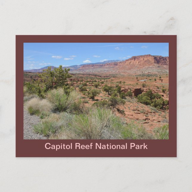 Capitol Reef National Park Postcard (Front)