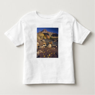 CAPITOL REEF NATIONAL PARK, UT, US, Cottonwood Toddler T-Shirt