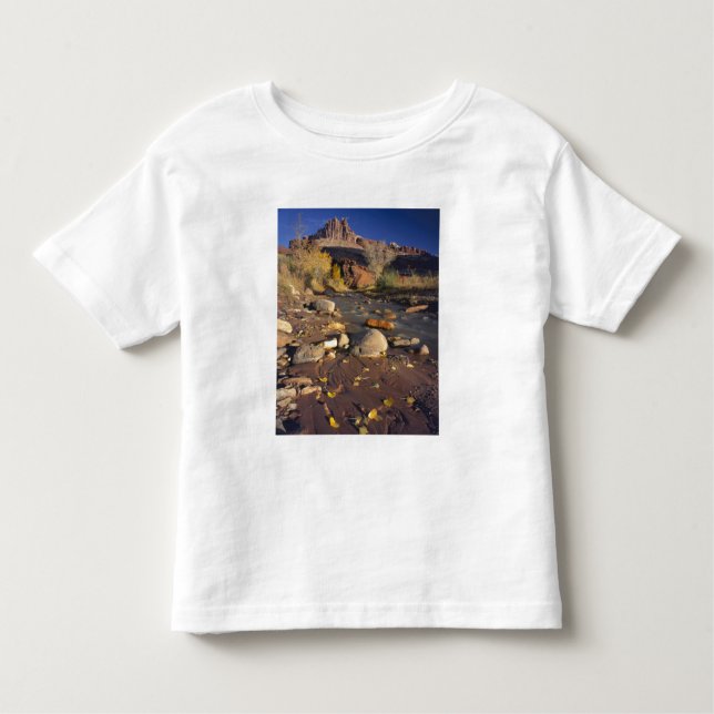 CAPITOL REEF NATIONAL PARK, UT, US, Cottonwood Toddler T-Shirt (Front)