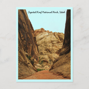 Capitol Reef National Park, Utah Postcard