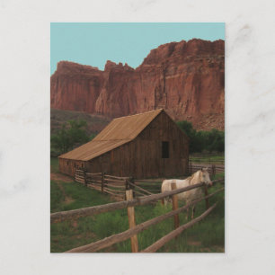 Capitol Reef National Park, Utah Postcard