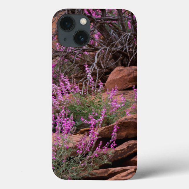 Capitol Reef National Park, Utah, USA Case-Mate iPhone Case (Back)
