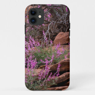 Capitol Reef National Park, Utah, USA iPhone 11 Case