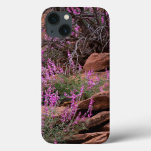 Capitol Reef National Park, Utah, USA iPhone 13 Case