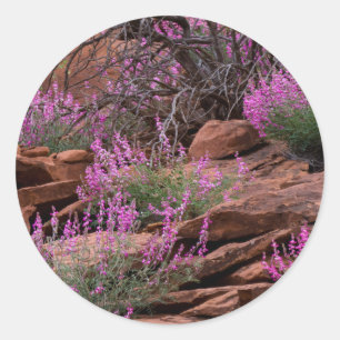 Capitol Reef National Park, Utah, USA Classic Round Sticker