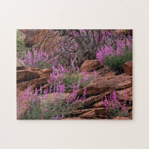 Capitol Reef National Park, Utah, USA Jigsaw Puzzle