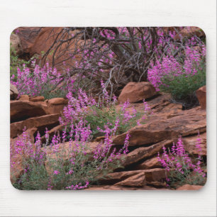 Capitol Reef National Park, Utah, USA Mouse Pad