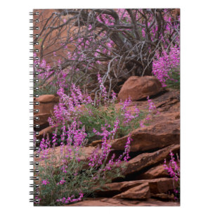 Capitol Reef National Park, Utah, USA Notebook