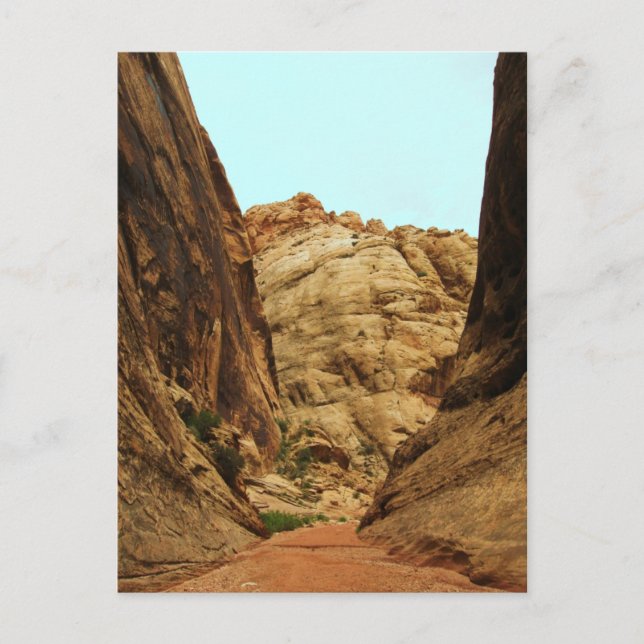 Capitol Reef Nat'l Park Postcard (Front)