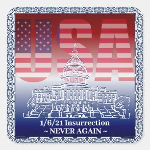 Capitol Riot Insurrection, NEVER AGAIN! 1/6/21 Square Sticker