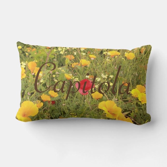 Capitola with flower garden lumbar cushion (Back)