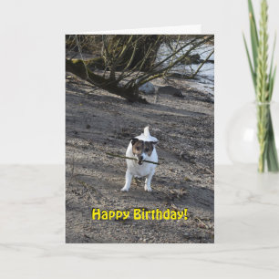 Capo von Oppenheim Jack Russell Terrier, Dog Card