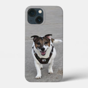 Capo von Oppenheim, Jack Russell Terrier Dog iPhone 13 Mini Case