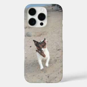Capo von Oppenheim Jack Russell Terrier, Dog iPhone 16 Pro Case