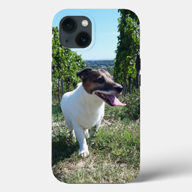 Capo von Oppenheim Jack Russell Terrier, Dog Case-Mate iPhone Case (Back)