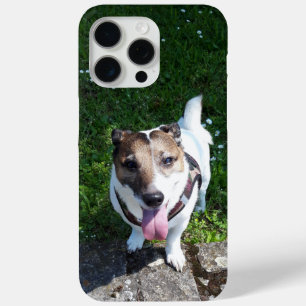 Capo von Oppenheim Jack Russell Terrier, Dog iPhone 15 Pro Max Case