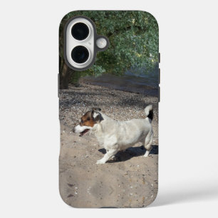 Capo von Oppenheim Jack Russell Terrier, Dog iPhone 16 Case