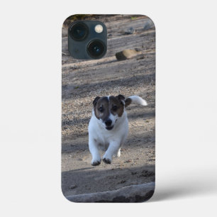 Capo von Oppenheim, Jack Russell Terrier Dog iPhone 13 Mini Case